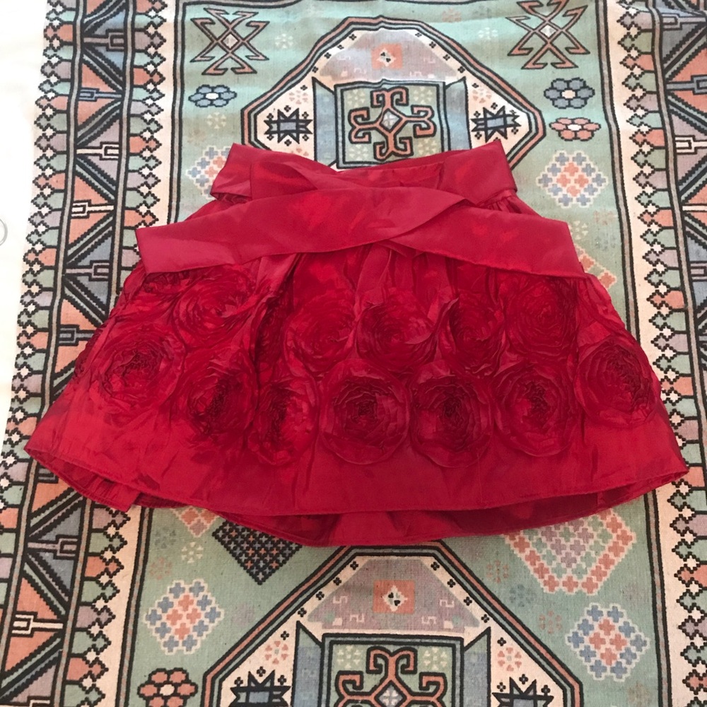 Rose Detail Skirt with Tulle.